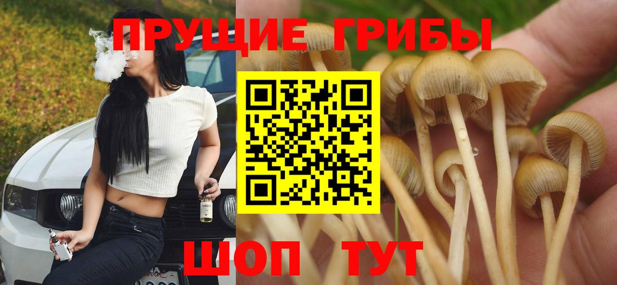 Галлюциногенные грибы Magic Shrooms Железногорск