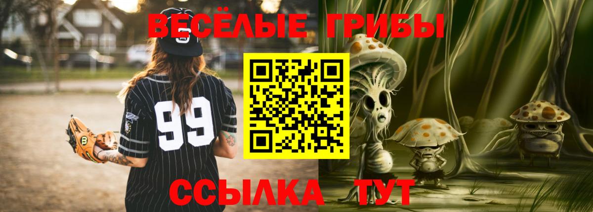 Галлюциногенные грибы GOLDEN TEACHER  Вход с VPN  купить наркотик  Железногорск  Галлюциногенные грибы мухоморы 